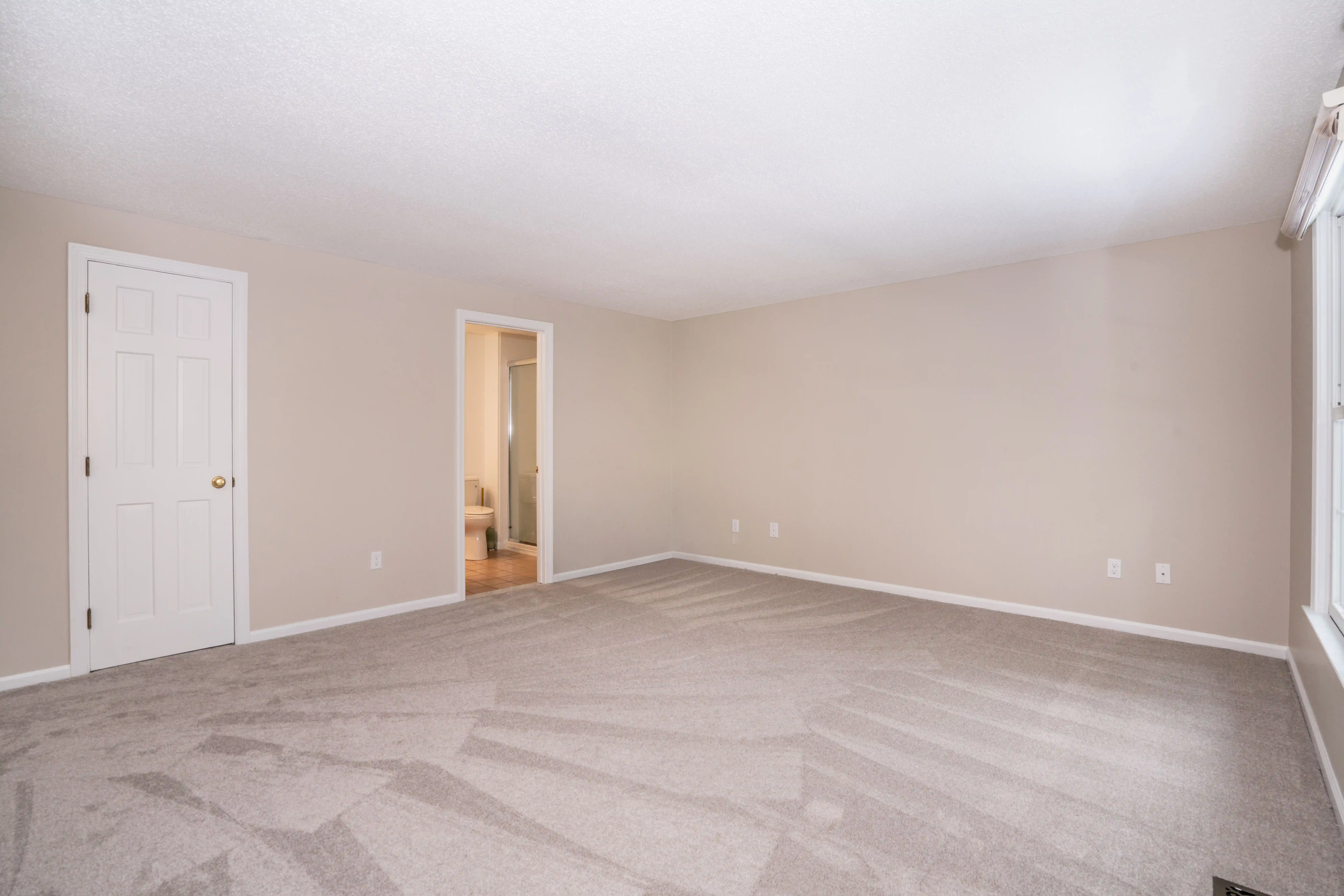 Minor Item Removal - After